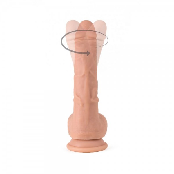 Vibrator 1