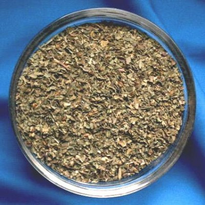 Basilikum (Ocimum basilicum)