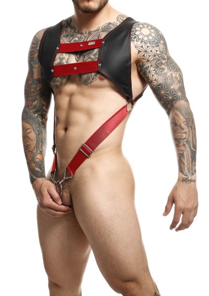 Harness-Top mit Cockring