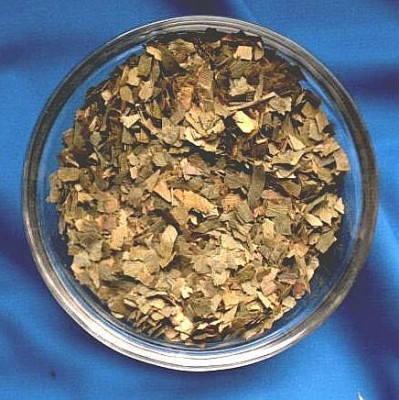 Ginkgoblätter (Ginkgo folium)
