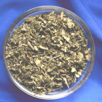 Patchouliblätter (Pogostemon cablin)